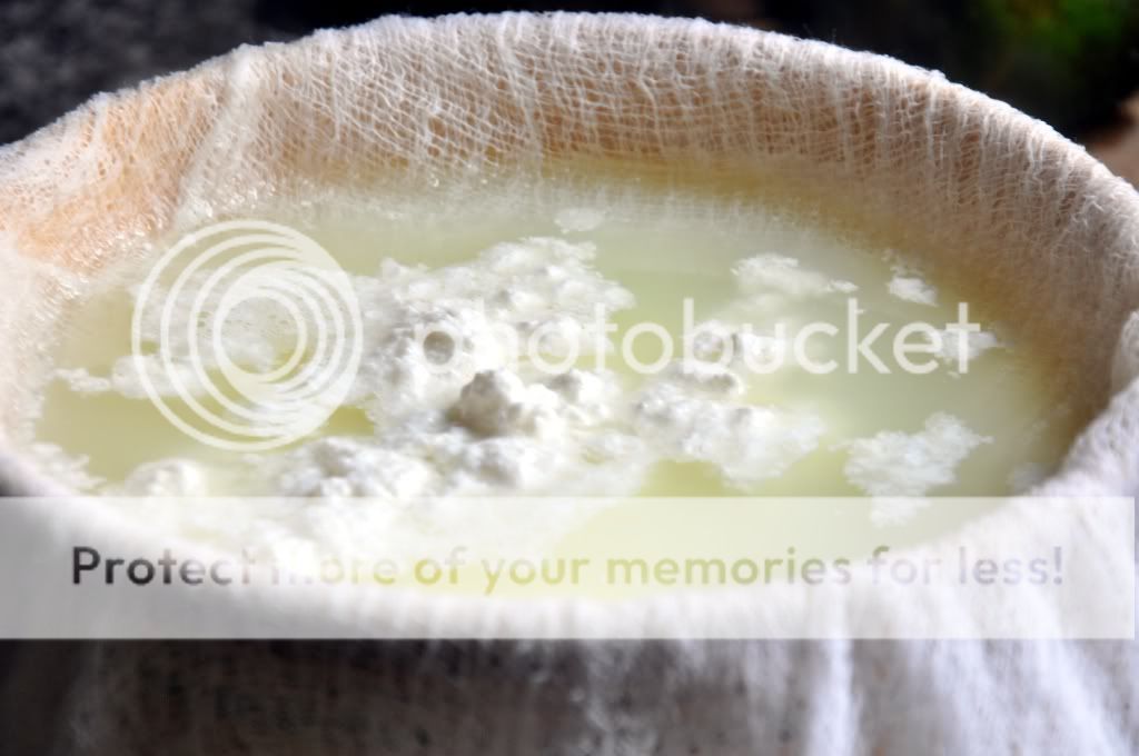 How to make and Fat Free] Paneer at home? Food for 7 Stages