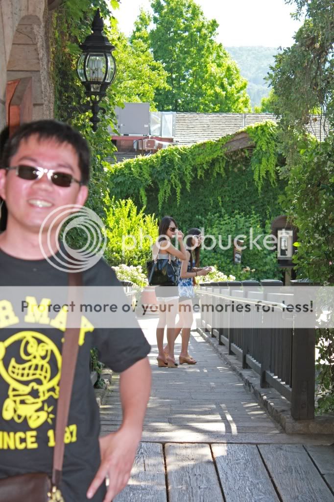 IMAGE: http://i817.photobucket.com/albums/zz92/bettatail/172copyresize.jpg