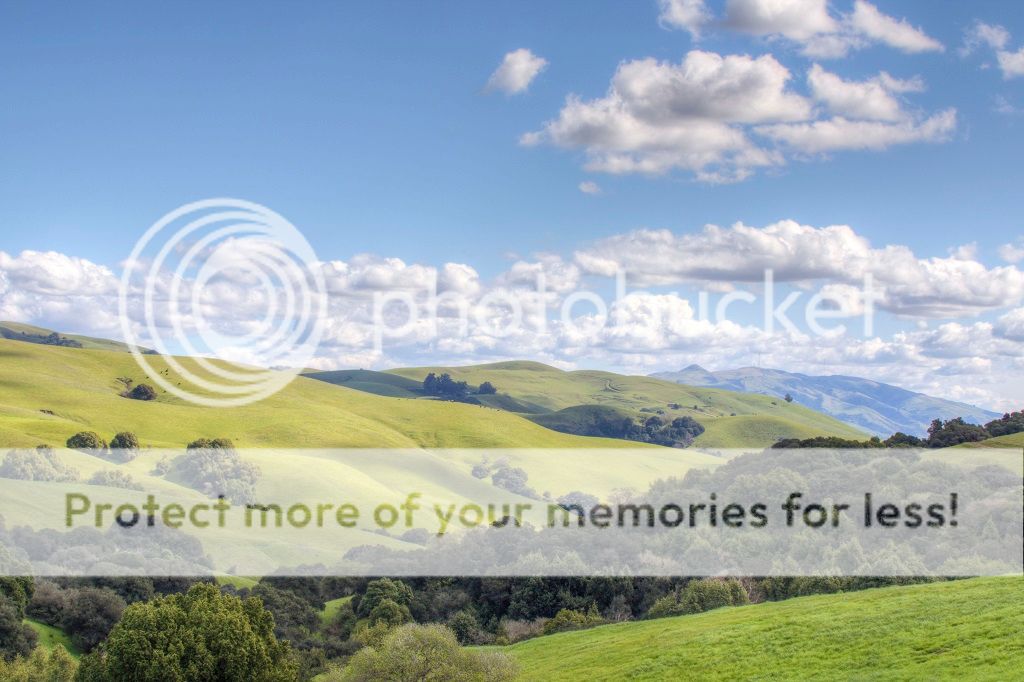 IMAGE: http://i817.photobucket.com/albums/zz92/bettatail/2016tour/RB6A7322edited_zpsigmnbckg.jpg