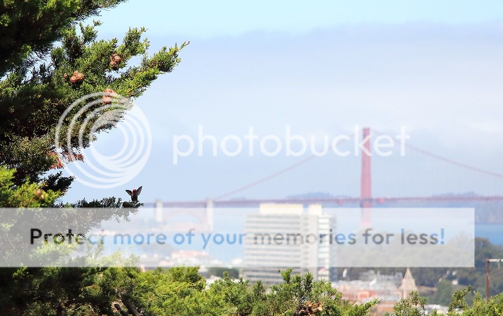 IMAGE: http://i817.photobucket.com/albums/zz92/bettatail/2016tour/RB6A9815_zpsmjemcqow.jpg