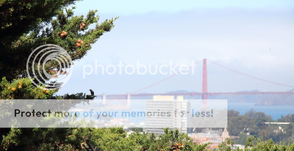 IMAGE: http://i817.photobucket.com/albums/zz92/bettatail/2016tour/RB6A9817_zpsvlhdulji.jpg