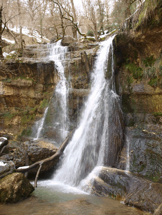 photo P3165075.gif