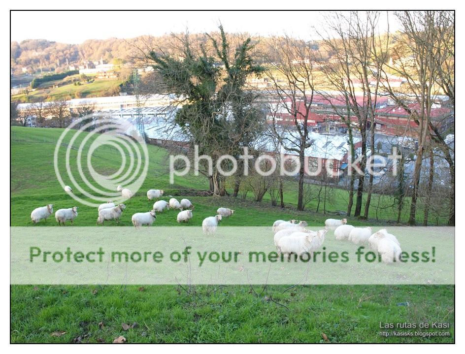 photo VueltaDonostia246.jpg