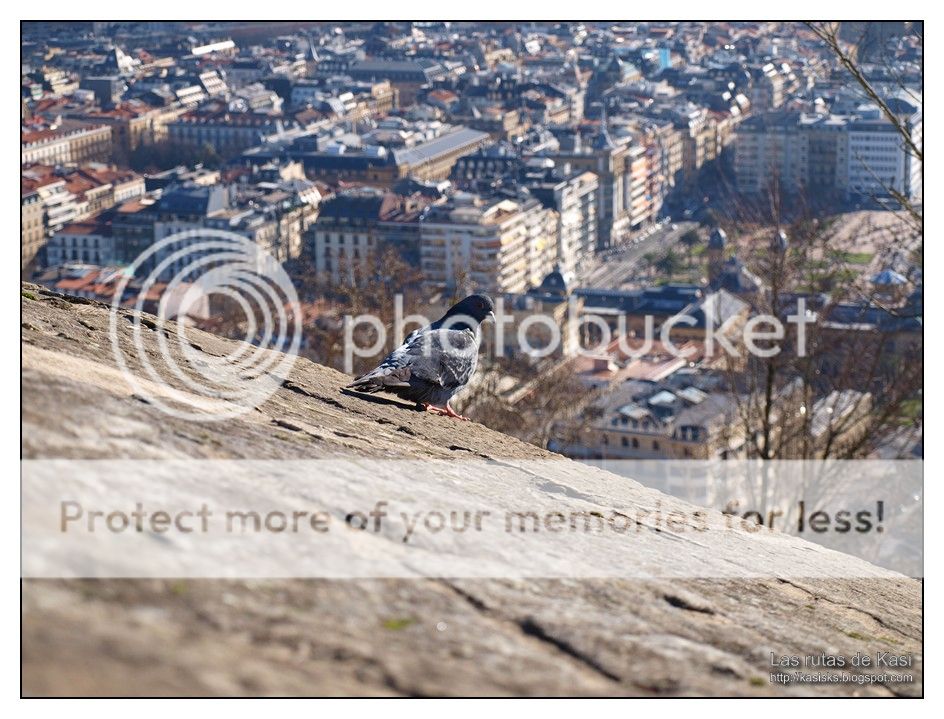 photo VueltaDonostia675.jpg
