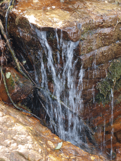 P3265013.gif