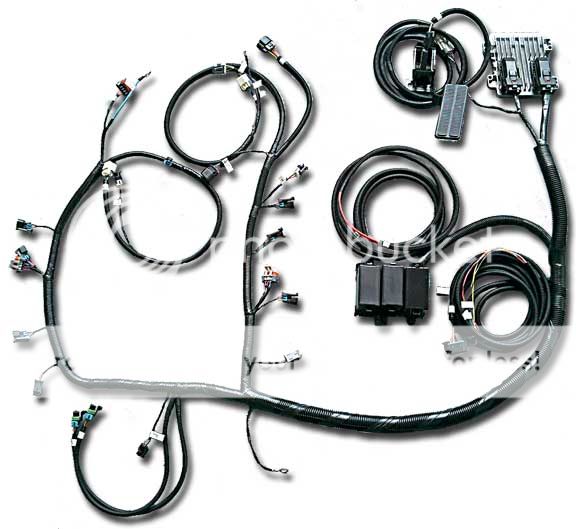LS Engine Wiring Harnesses - Page 2 - Pirate4x4.Com : 4x4 and Off-Road