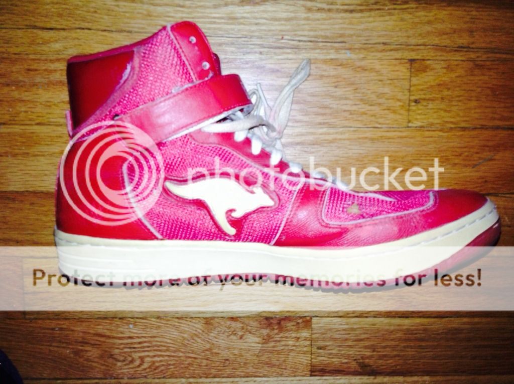 kangaroos shoes clyde drexler