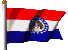 MIS Flag