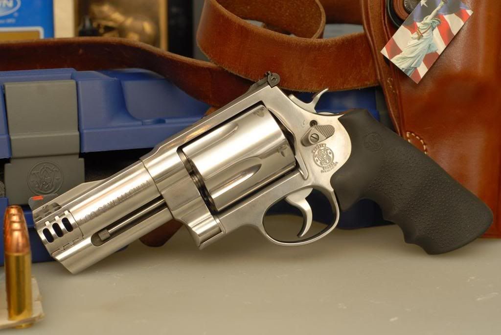 which gun for bear repellent...ruger blackhawk .45 or S&W 629 .44