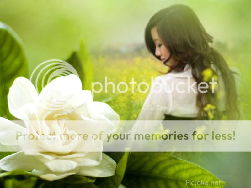 photo 1-vi-20185c4ce2ca8d1b3c0c29ba5252acde_zps15abbde0.jpg