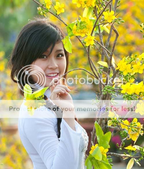  photo t509975_zpsaff52d81.jpg