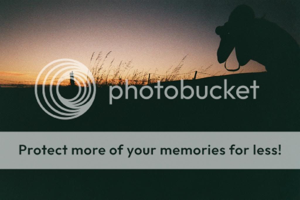  photo F1010025_zps3a48711d.jpg