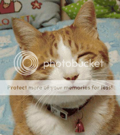  photo 1_zps69b2dc27.png