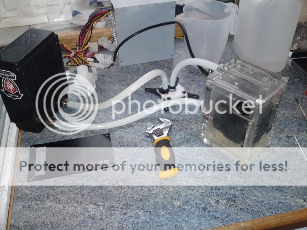 Posted Image