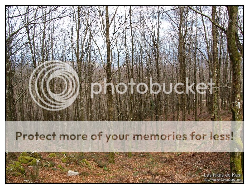 photo mapa168.jpg