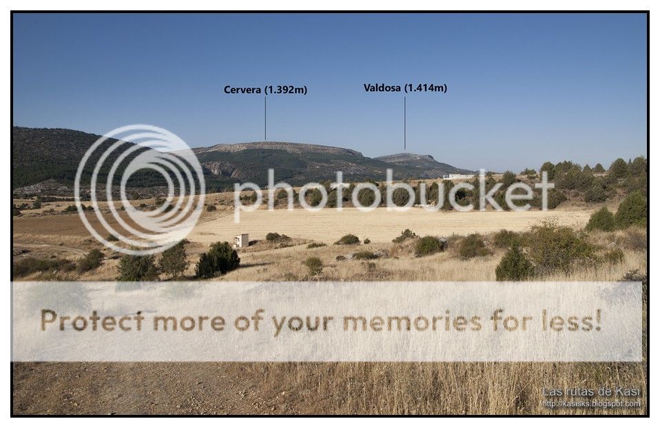 photo BFM009.jpg