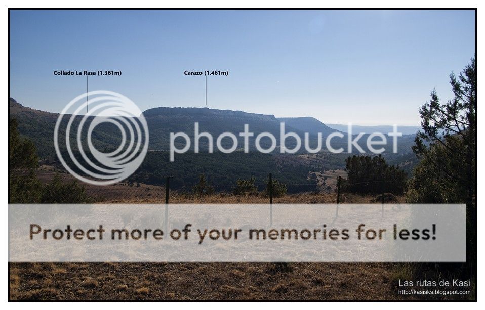 photo BFM013.jpg