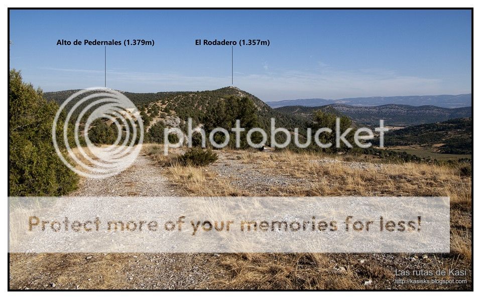 photo BFM016.jpg