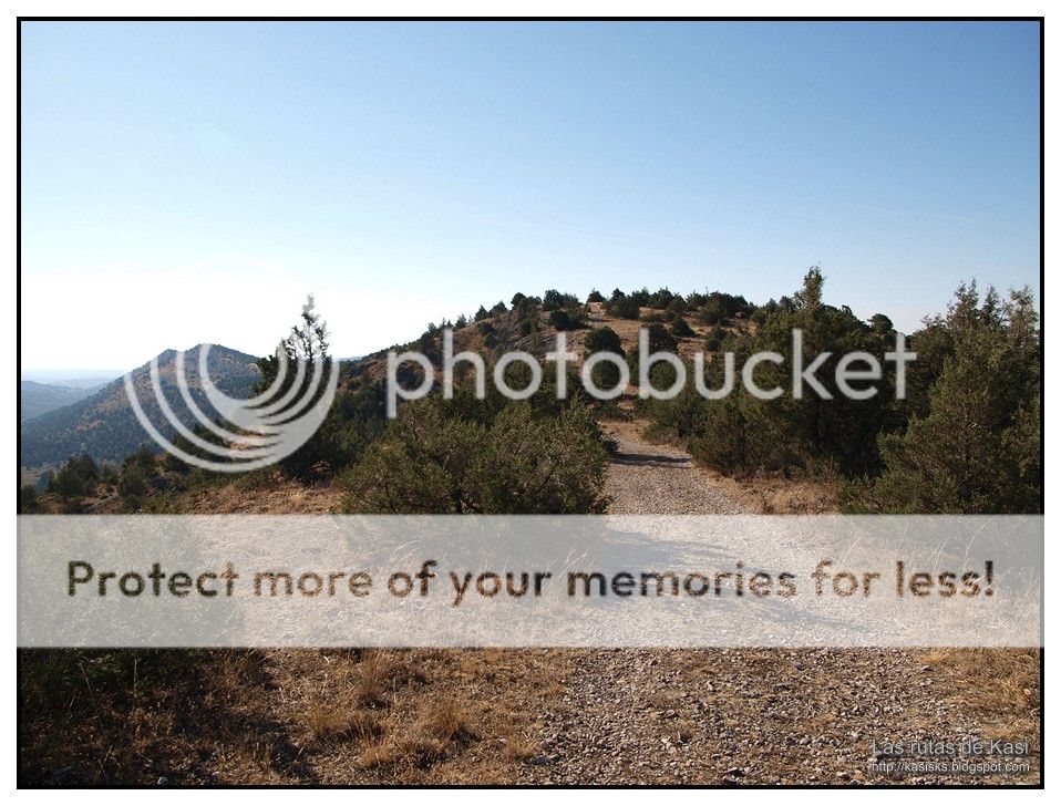 photo BFM018.jpg