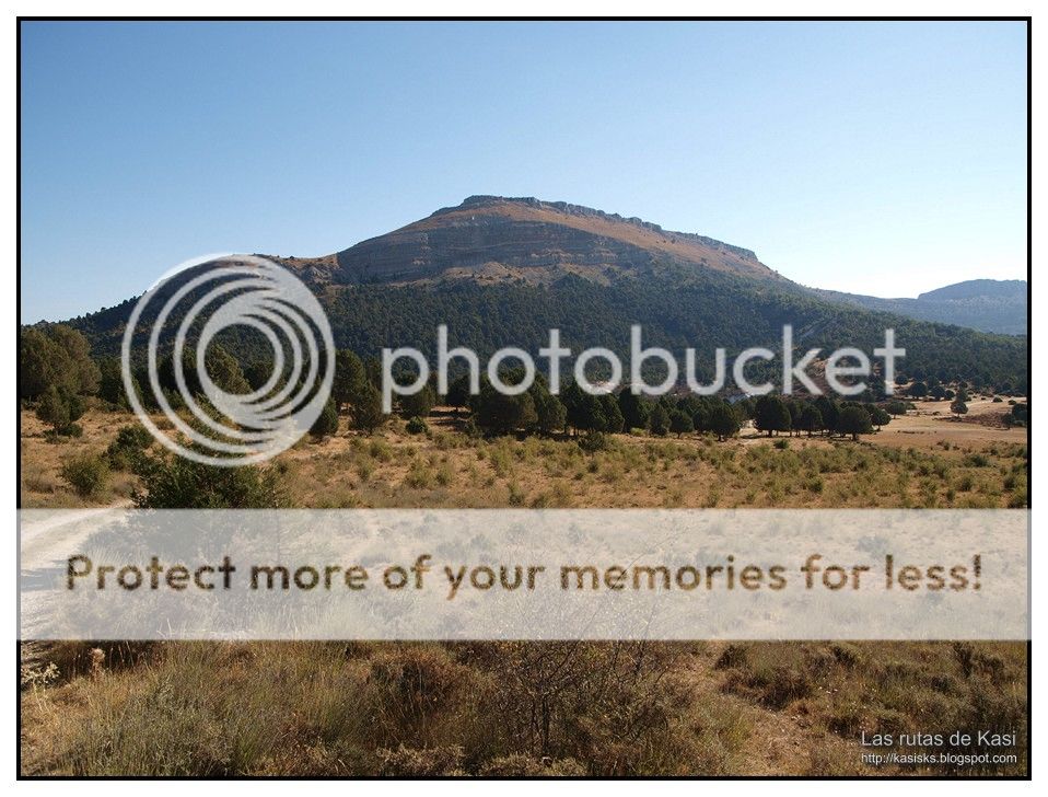 photo BFM034.jpg
