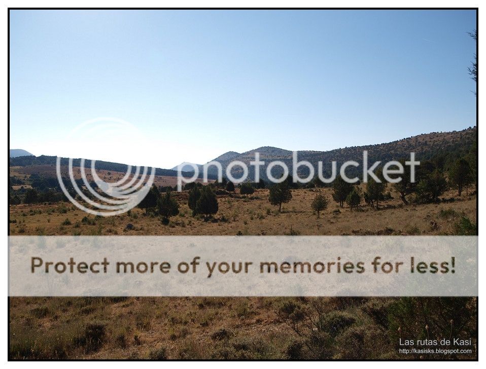 photo BFM035.jpg