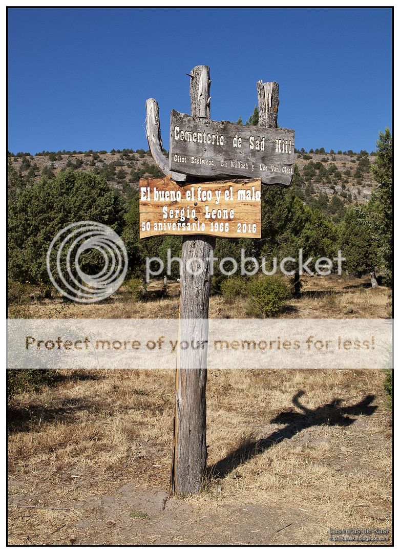 photo BFM041.jpg