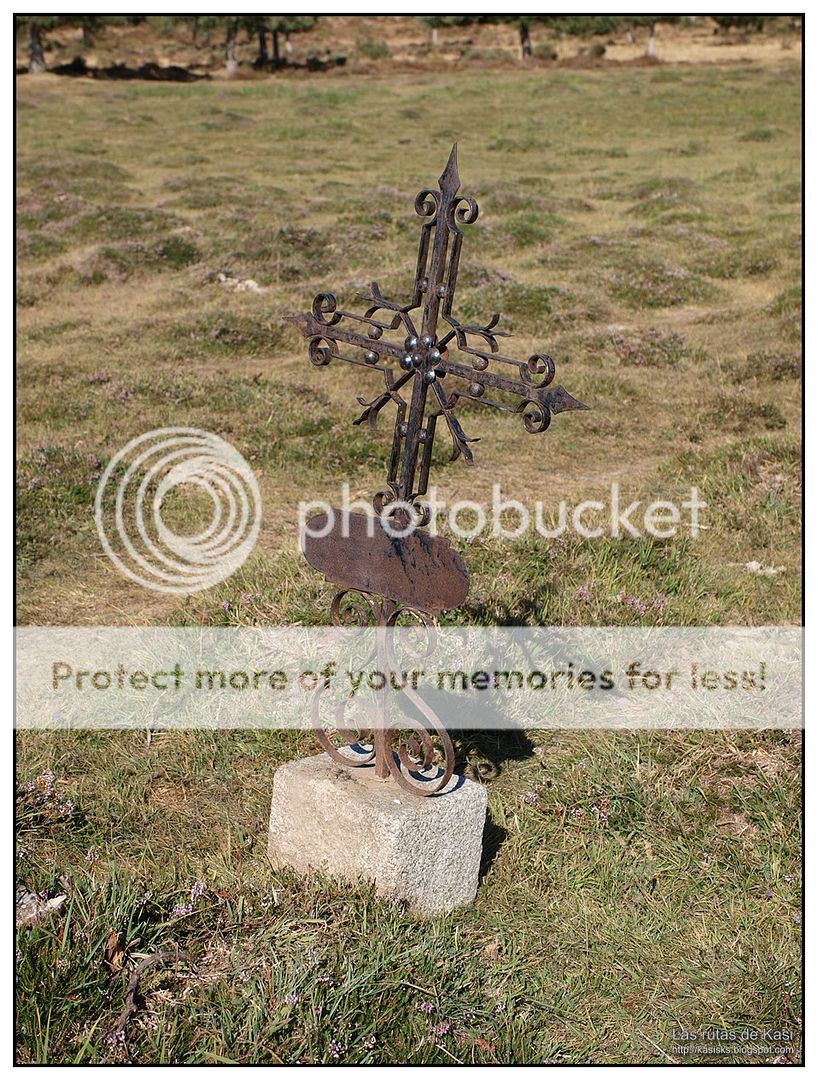 photo BFM047.jpg