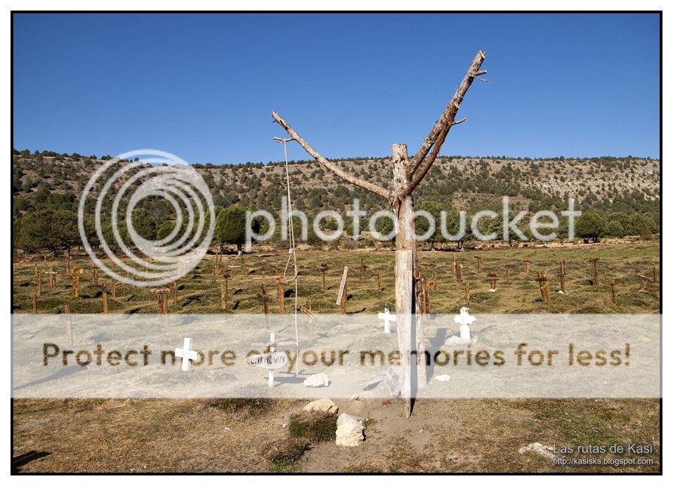 photo BFM048.jpg