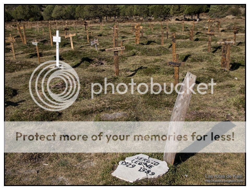 photo BFM049.jpg