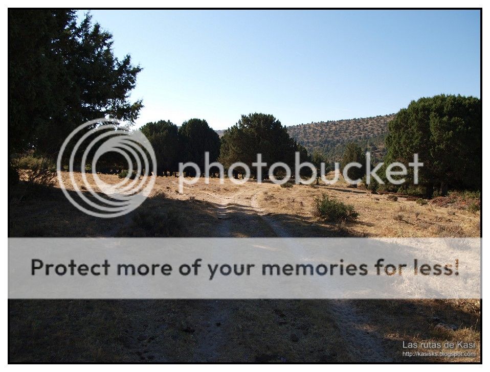 photo BFM056.jpg