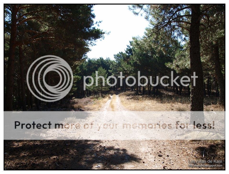 photo BFM061.jpg