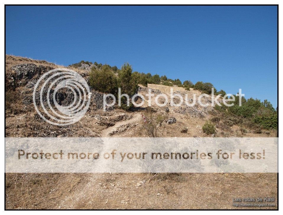 photo BFM067.jpg