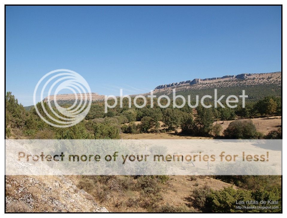 photo BFM071.jpg