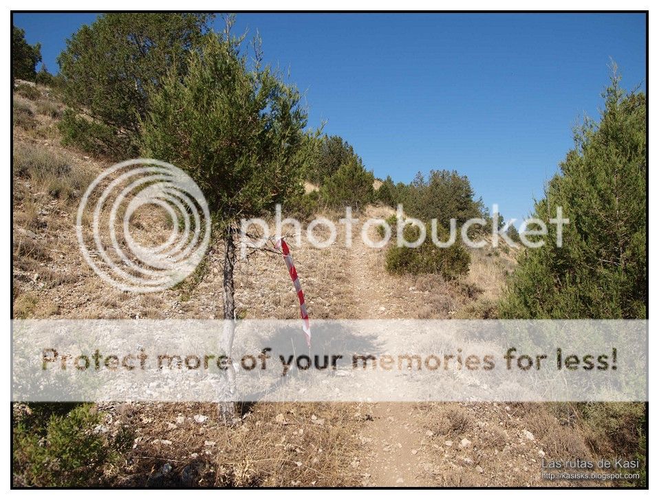 photo BFM074.jpg