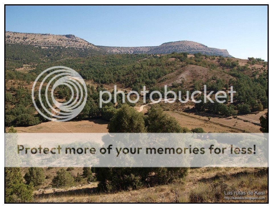 photo BFM075.jpg
