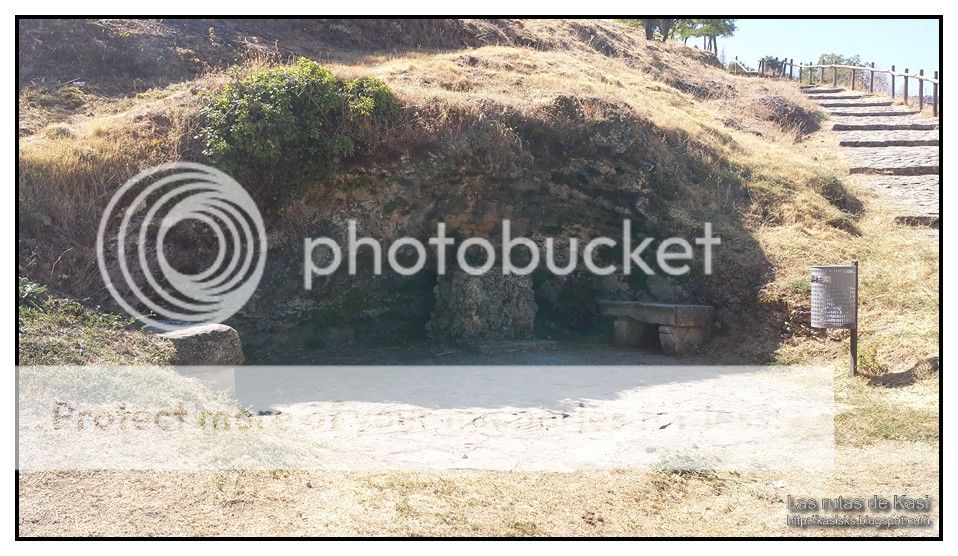 photo BFM101.jpg
