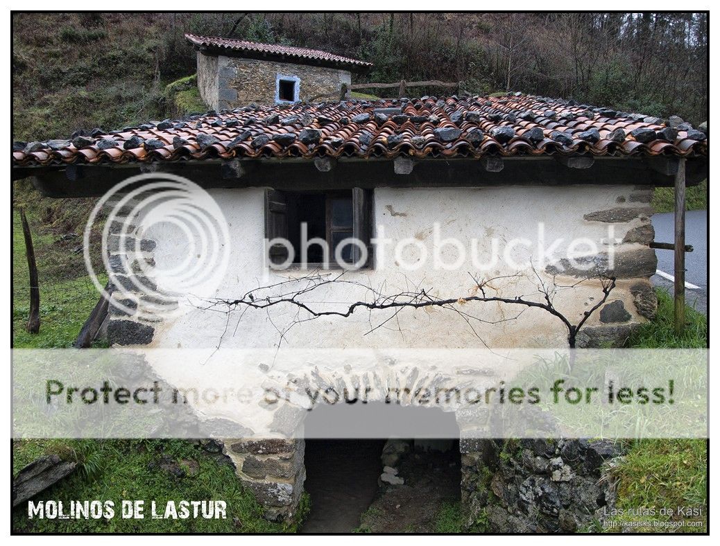 photo DEBA077.jpg