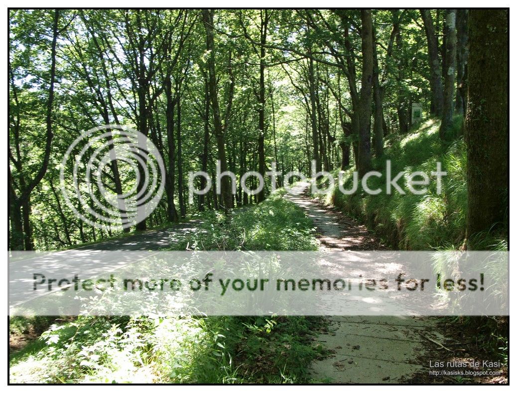 photo AGINtildeA004.jpg