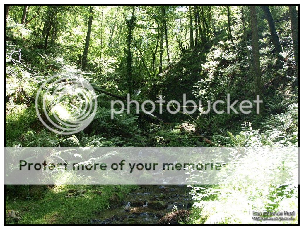 photo AGINtildeA008.jpg