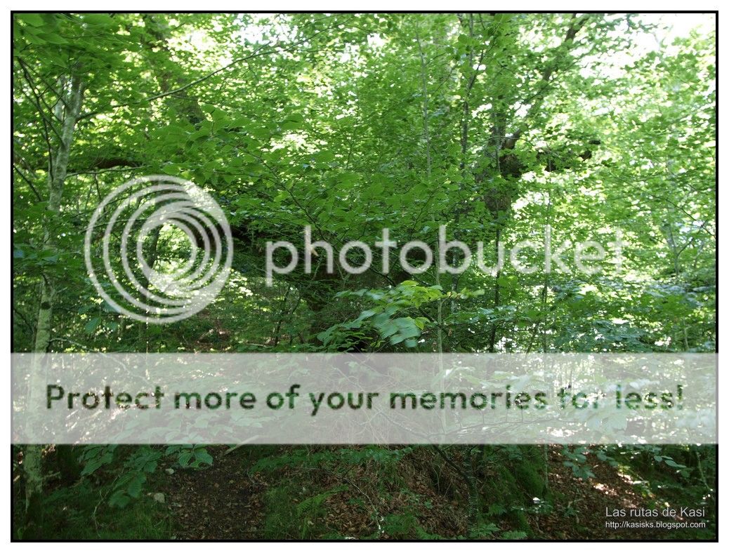 photo AGINtildeA024.jpg
