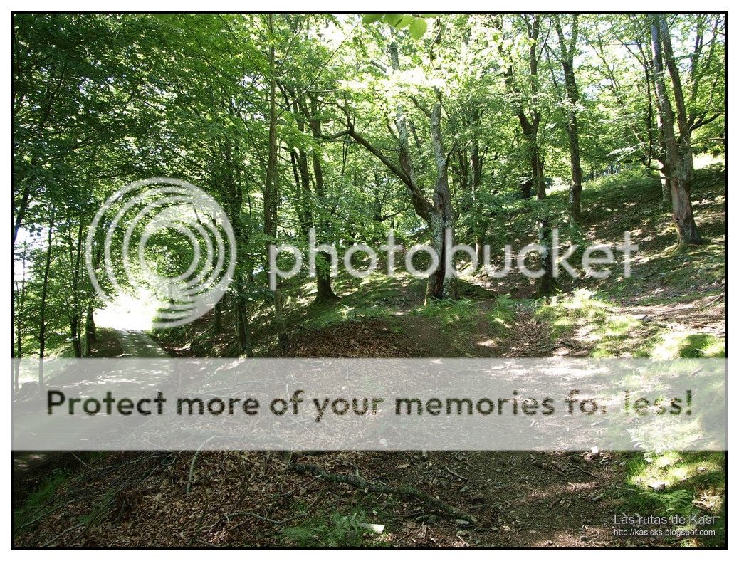 photo AGINtildeA039.jpg