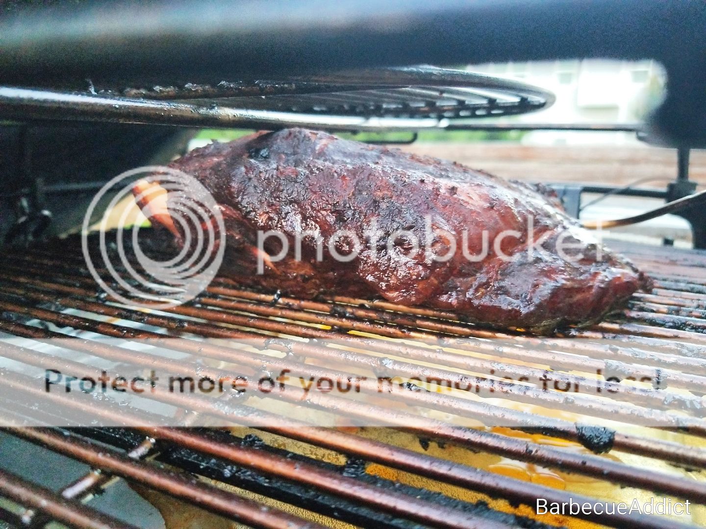 photo IMG26_zpsbto3voxqjpg