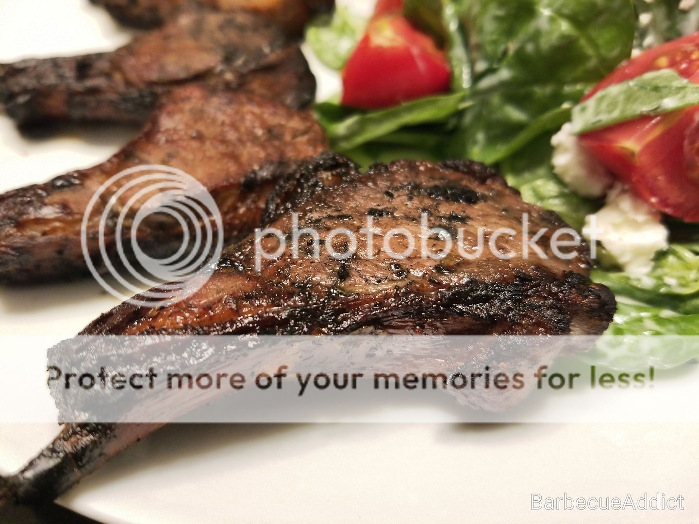 photo IMG_8_zpsx6y4gndyjpg